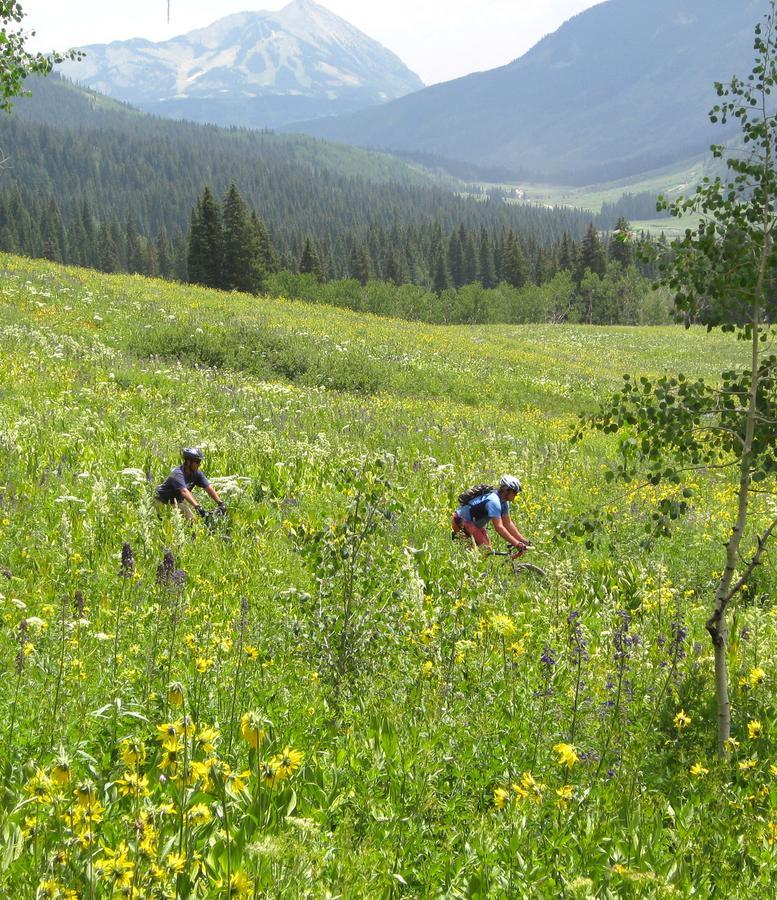Purple Mountain Bed & Breakfast & Spa Crested Butte Luaran gambar